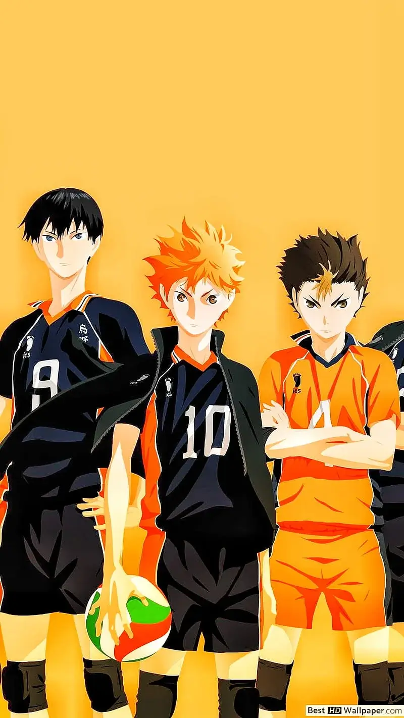 Hinata, Nishinoya, kageyama wallpaper