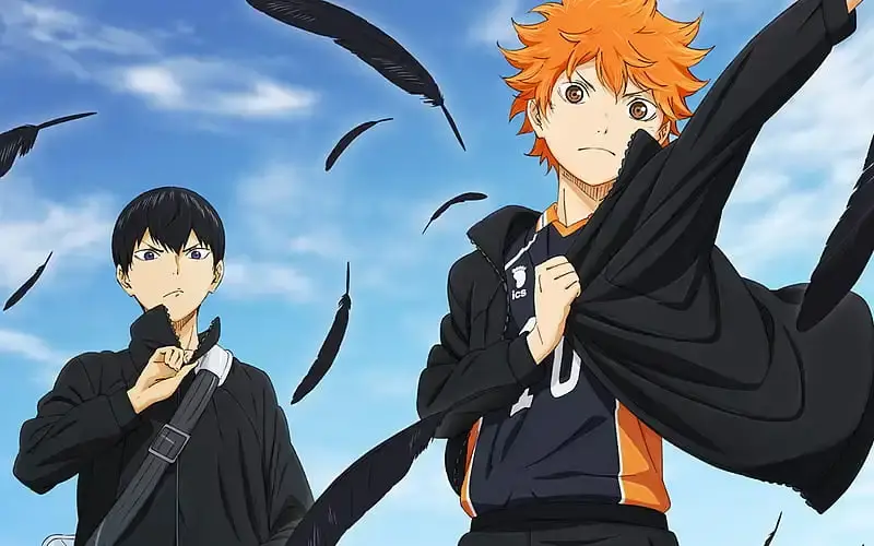 Crows in image of Hinata and Kageyama