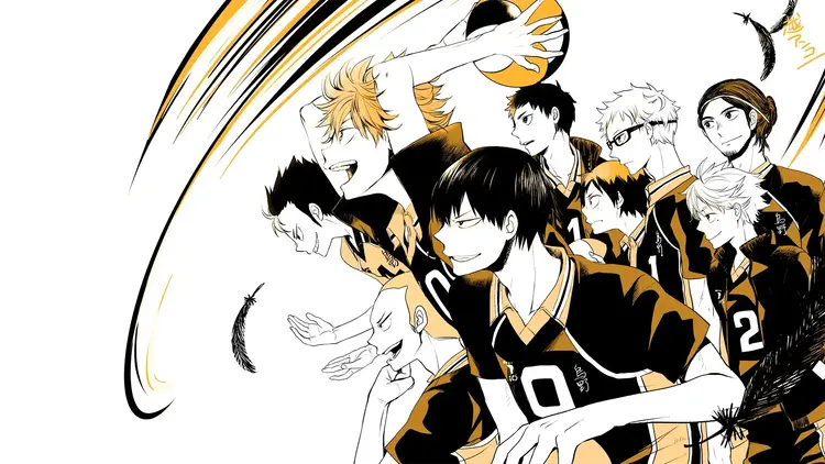 Karasuno team